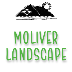 Moliver Landscape